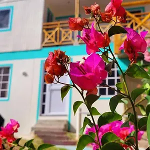 Colorful Garden House , Providencia (Narino) Colombia